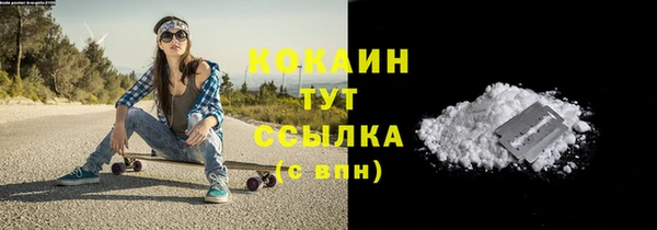 тгк Вяземский