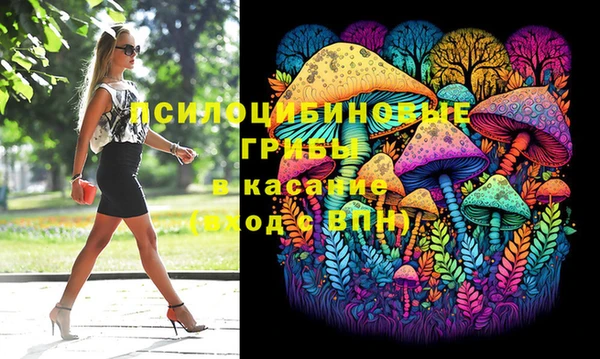 ГАЛЛЮЦИНОГЕННЫЕ ГРИБЫ Володарск