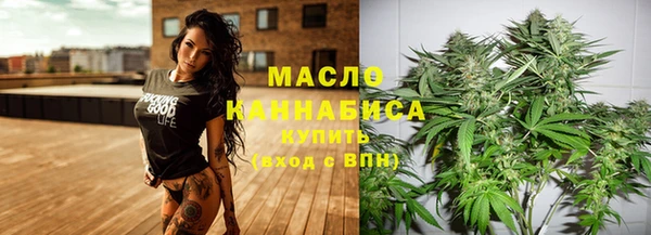 тгк Вяземский