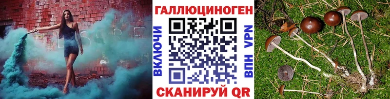 гидра ссылки  Керчь  Галлюциногенные грибы GOLDEN TEACHER 